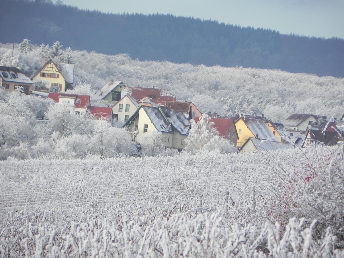 Апартаменты Nid De Cigognes Rosheim Экстерьер фото